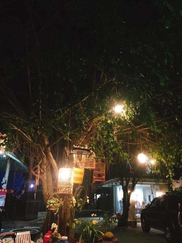 Linda Mini Khách sạn