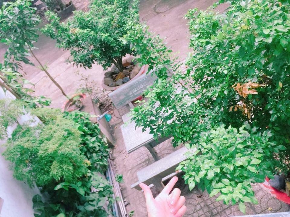 Linda Mini TP. Hồ Chí Minh