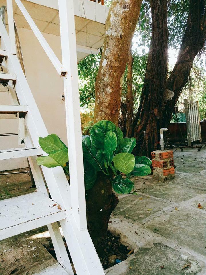 Khách sạn Linda Mini TP. Hồ Chí Minh